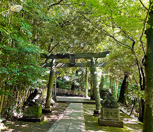 占い師ひかりのお気に入り写真2